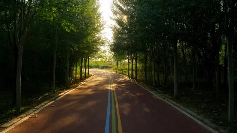 First-person view of the trail 動画素材 259282192