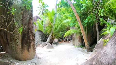First person view of a walk in Anse Source d'Argent sandy path. La Digue island, Stock Footage 256811007
