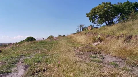 First person view walking along a hiking way, path in the moutains Stock Footage 220527406