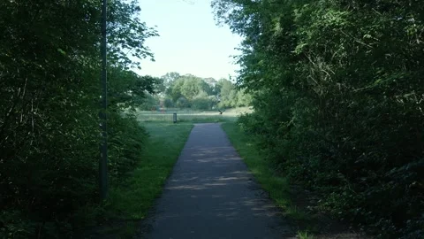 First-person view walking along a path emerging from a forest Vídeos de archivo 339312418