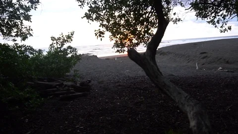 First Person View Walking To Beach [Slow Motion] Stock Footage 88873822