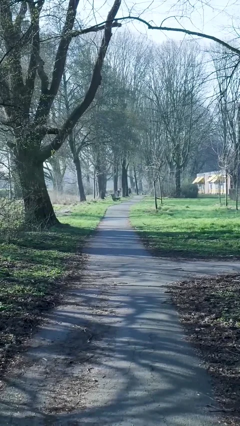First person view walking down an empty park path in winter Stock Footage 334419252