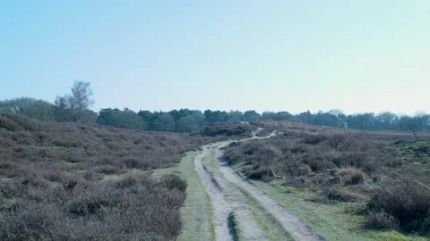 First person view walking a heather path Stock Footage 335027112
