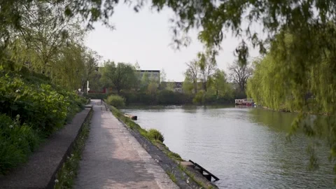 First person view walking at river under willow tree Video stock 279719213
