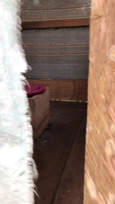 First person view walking into rustic outdoor toilet in iquitos peru Stock Footage 337263596