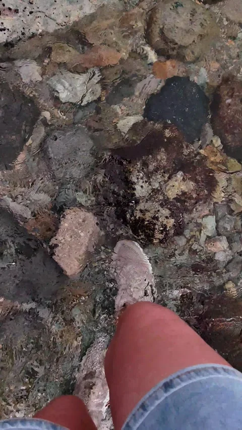 First person view walking in shallow crystal clear sea water. vertical. Stock-Footage 335766903