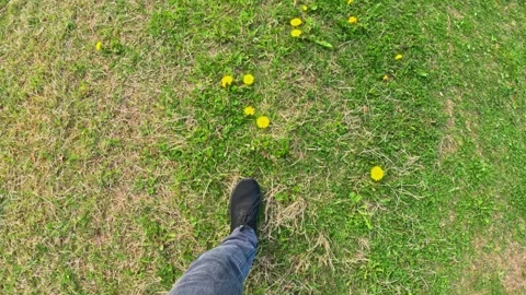 First Person View: Walking on Squishy Green Grass in a Park or Meadow on a 動画素材 309950027
