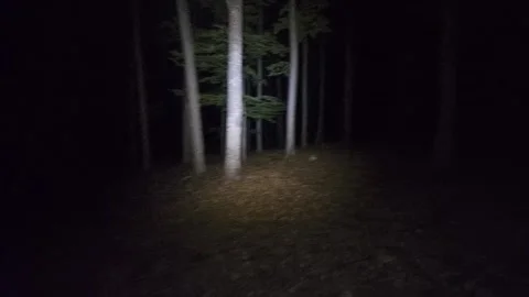 First-person view of walking through a dark, mysterious forest at night with a Stock Footage 318960819