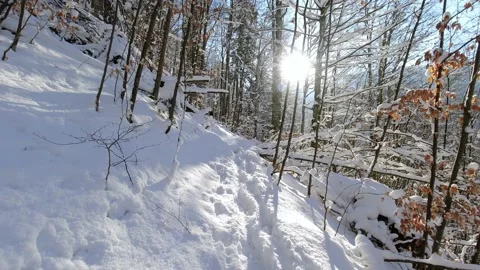 First person view walking winter sunny day on forest path in mountains. POV Stock Footage 219942527