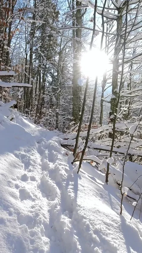First person view walking winter sunny day on forest path in mountains. POV Stock Footage 220411795