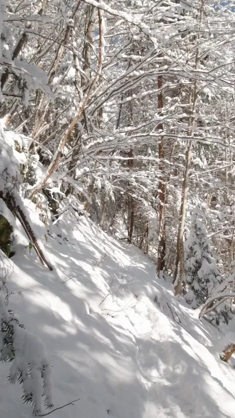 First person view walking winter sunny day on forest path in mountains. POV Stock Footage 220411849