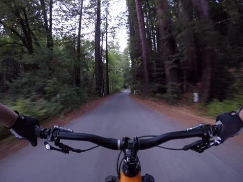 A first person view while riding a bicycle on a paved road. Vídeos de archivo 163136202