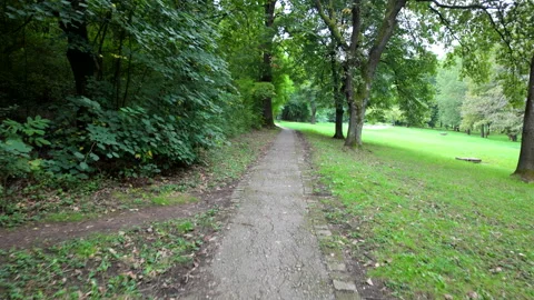 First person walk along path through forest Stock Footage 317952097