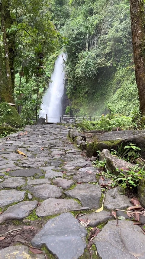 First Person Walk on Stone Path to Waterfall, Lush Jungle, Vertical Stock Footage 325303469