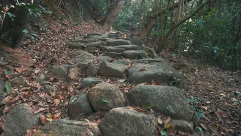 First-person walking the path and enjoying nature in the woods near trees. Stock Footage 144042165