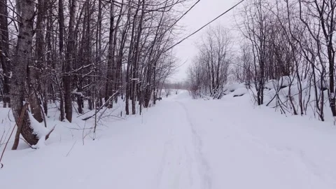 First person walking through snowy forest road in winter Stock Footage 326376914