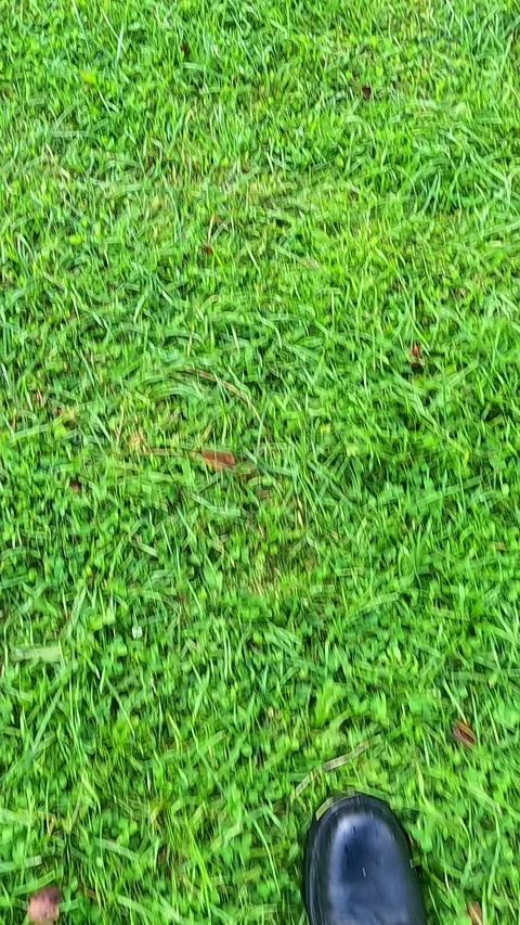 First person walking view on grass in sunny park Stock Footage 321957258
