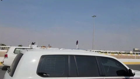 First Place Camel - Qatar Stock Footage 231039241
