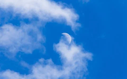 First quarter moon 写真素材
