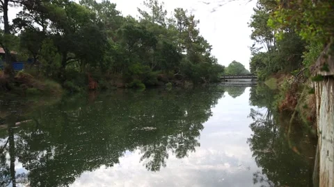 First rays of the rising sun over Souston lake in Landes, France Stock Footage 277871315
