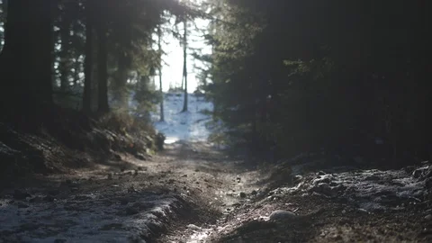The first rays of spring Stock Footage 127862218