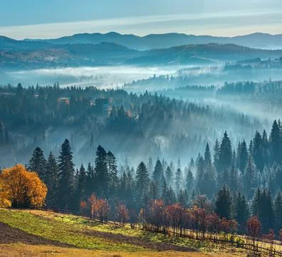 First rays of sun in Carpathians. Stock Photos