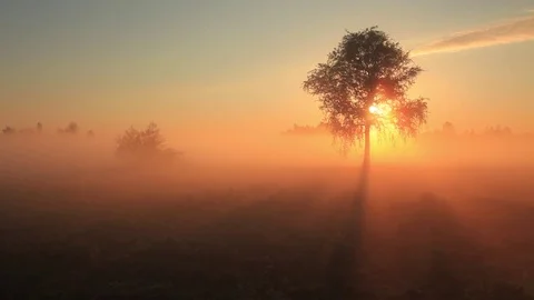 The first rays of the sun shine through the fog 動画素材 78148456