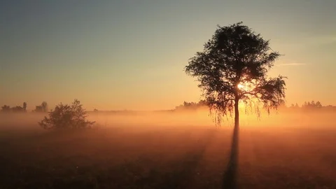 The first rays of the sun shine through the fog Stock Footage 78837554