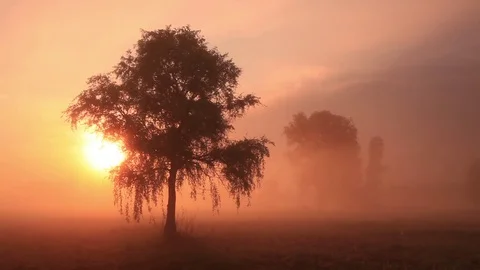 The first rays of the sun shine through the fog Stock Footage 78843020