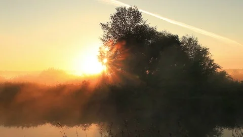 The first rays of the sun shine through the fog 動画素材 81696526