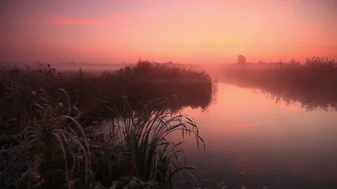 The first rays of the sun shine through the fog 動画素材 81696633
