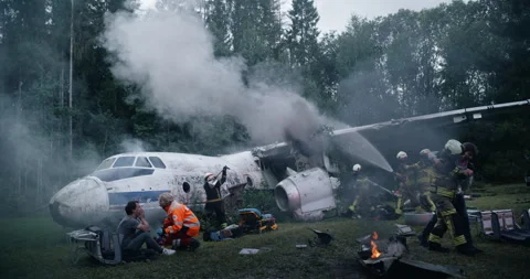 First Responders Saving Passengers From Plane Crash Stock Footage 295803572