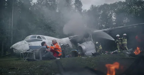 First Responders Saving Passengers From Plane Crash Stock Footage 295803706