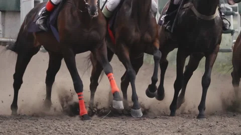 First Seconds After the Start of the Horse Race. Slow Motion Stock Footage