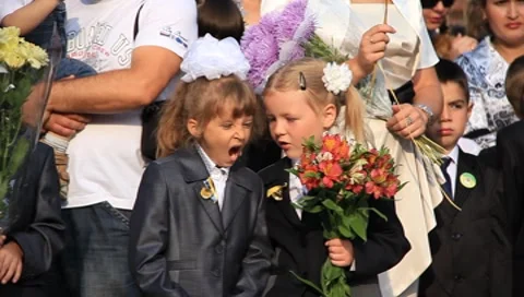 First September. Beginning of school year Stock Footage 8577463