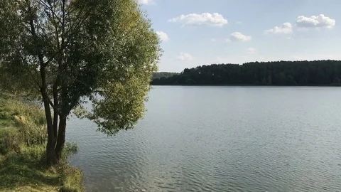 First shablon Video stock 119640609