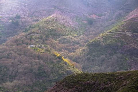 First signs of spring dot the landscape in Courel Mountains Unesco Geopark Stock Photos