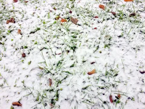 The first signs of winter Stock Photos