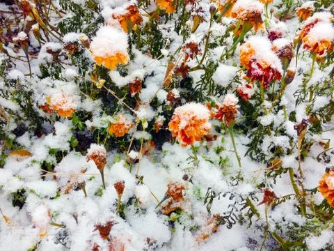 The first signs of winter Foto stock