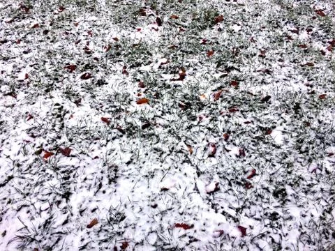 The first signs of winter Foto stock