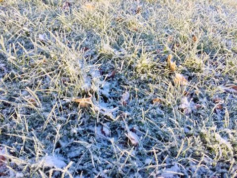 The first signs of winter Foto stock