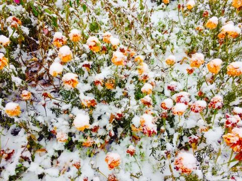 The first signs of winter Stock-Fotos