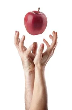 First sin Stock Photos