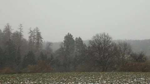 First Snow 2 Stock Footage 21646972