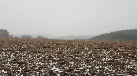 First Snow 3 動画素材 21648005