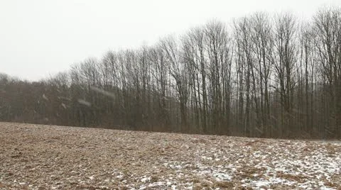 First Snow 4 库存影片 21649197