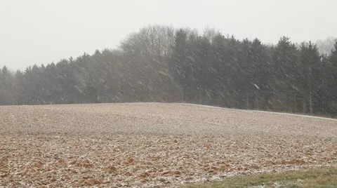 First Snow 5 Stock Footage 21652150