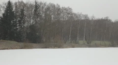 First Snow 8 動画素材 21655495