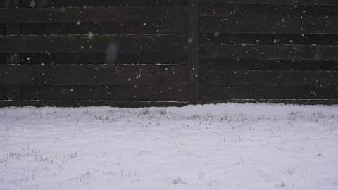 First Snow on backyard in slow motion Stock Footage 81037484