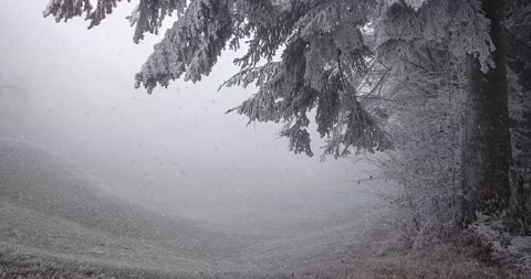 First snow. Beautiful misty landscape Stock Footage 144327436